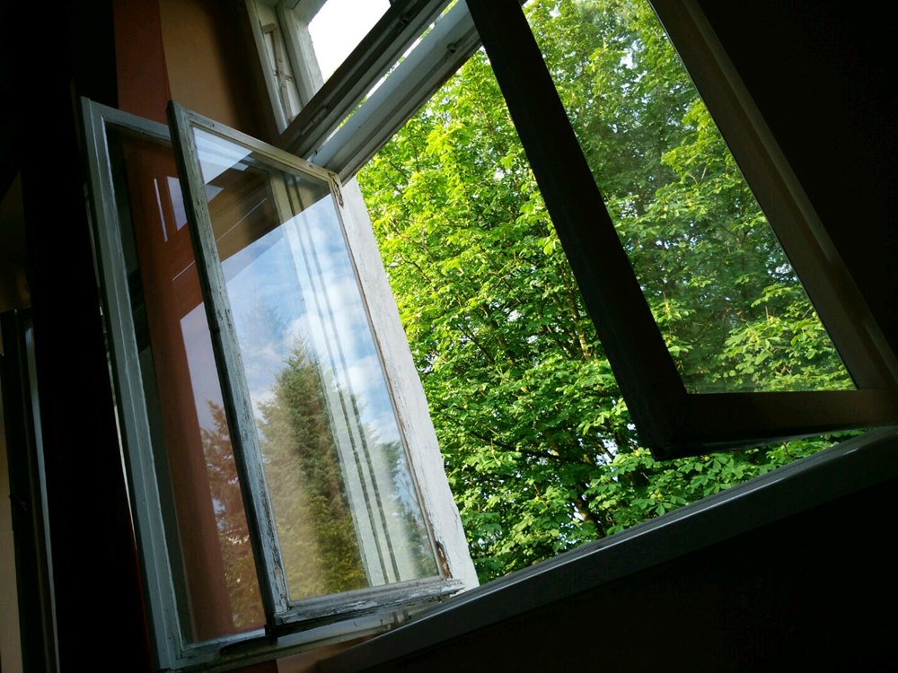 Otwarte okno, za którym widać las