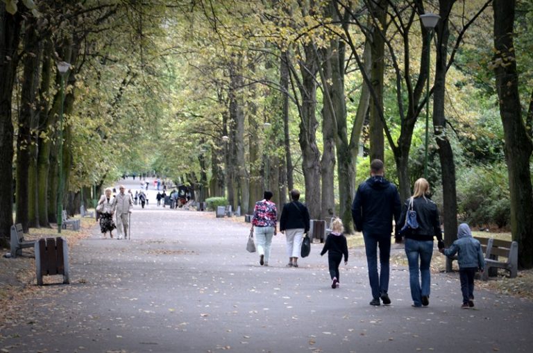 Aleją parkową spacerują ludzie