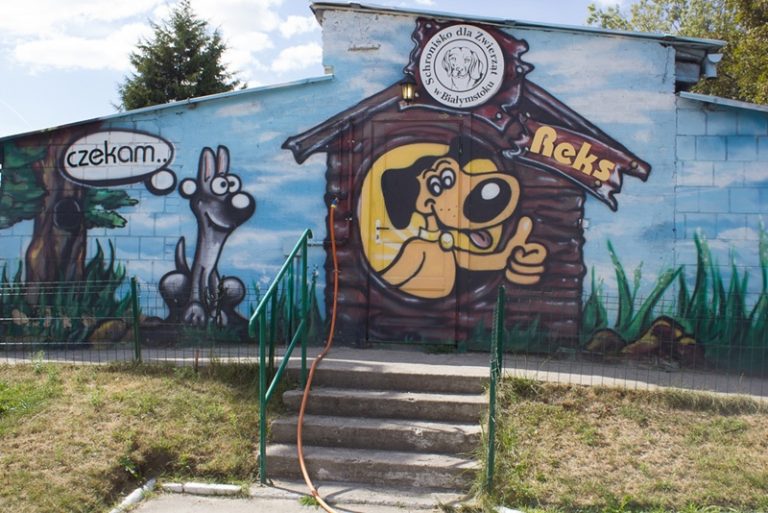 mural w schronisku dla zwierząt