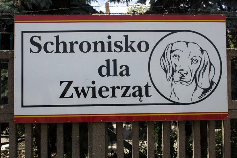 tabliczka z napisem schronisko dla zwierząt