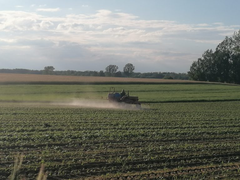 Po polu jedzie traktor. W oddali widać drzewa.