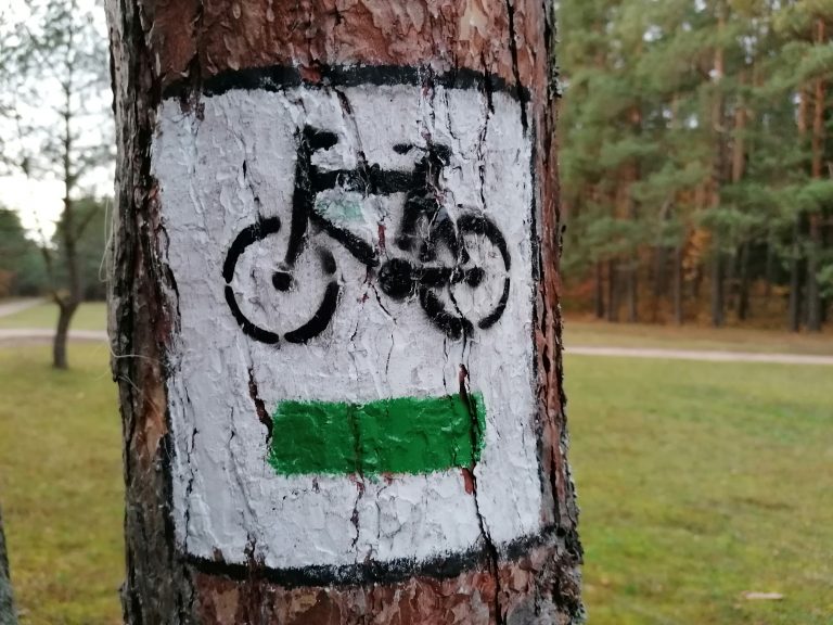 Fragment pnia drzewa, na który namalowany jest znak mówiący o tym, że znajdujemy się na trasie rowerowej. Znak jest kwadratowy, z czarną ramką i białym tłem na, którym namalowany jest czarny rower. Pod rowerem jesr zielony pasek. W tle widać zieleń, kawałek lasu