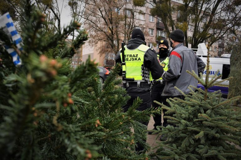 dwaj strażnicy miejscy kontrolują sprzędawcę choinek