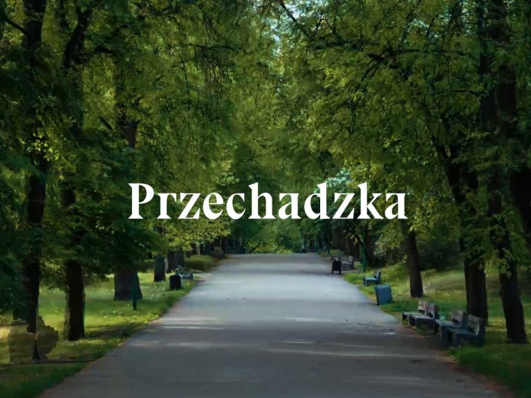 źródło: Screen z filmu "Przechadzka"