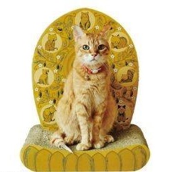 Mag - Temple Cat