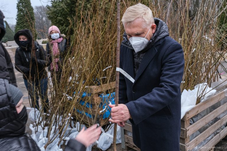 Prezydent miasta rozdaje drzewka, po które w kolejce stoją mieszkańcy
