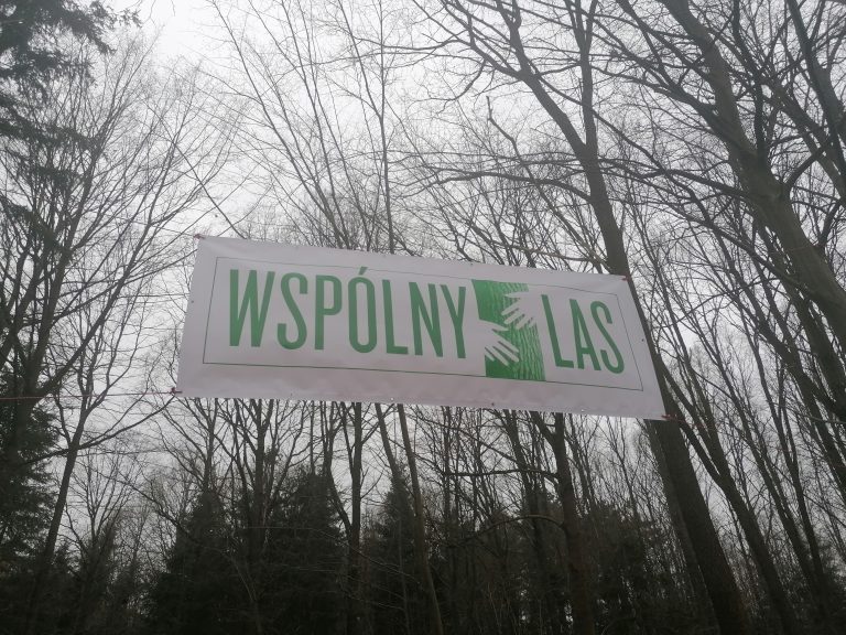 Baner z napisem wspólny las rozwieszony między drzewami