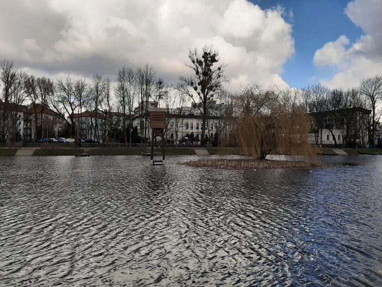 Staw, a wokół niego rosną drzewa. Za drzewami stoją bloki. W wodzie na długich nogach stoi drewniany domek dla ptaków. Na wodzie znajduje się wysepka