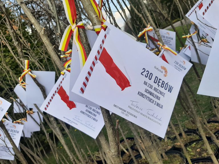 Do sadzonek dębów są przyczepione karteczki z napisem: 230 dębów na 230. rocznicę uchwalenia Konstytucji 3 maja. Pod tym hasłem znajduje się podpis prezydenta Białegostoku Tadeusza Truskolaskiego. Drzewka są przewiązane żółto - czerwonymi wstążkami