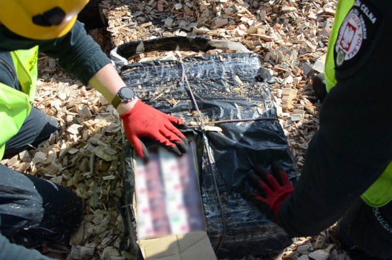 Funkcjonariusze Kas liczą nielegalne papierosy, które znajdują się w kartonie