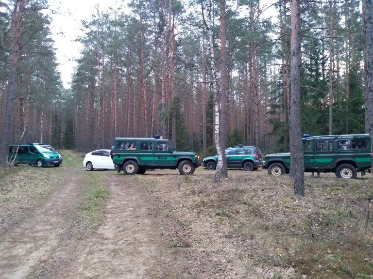Samochody służbowe straży granicznej stoją w lesie