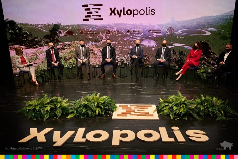 Kadr ze streamingu konferencvji Xylopolis