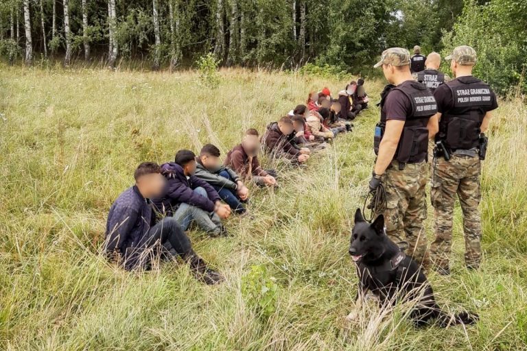 Migranci siedzą na trawie, obok stoją pogranicznicy