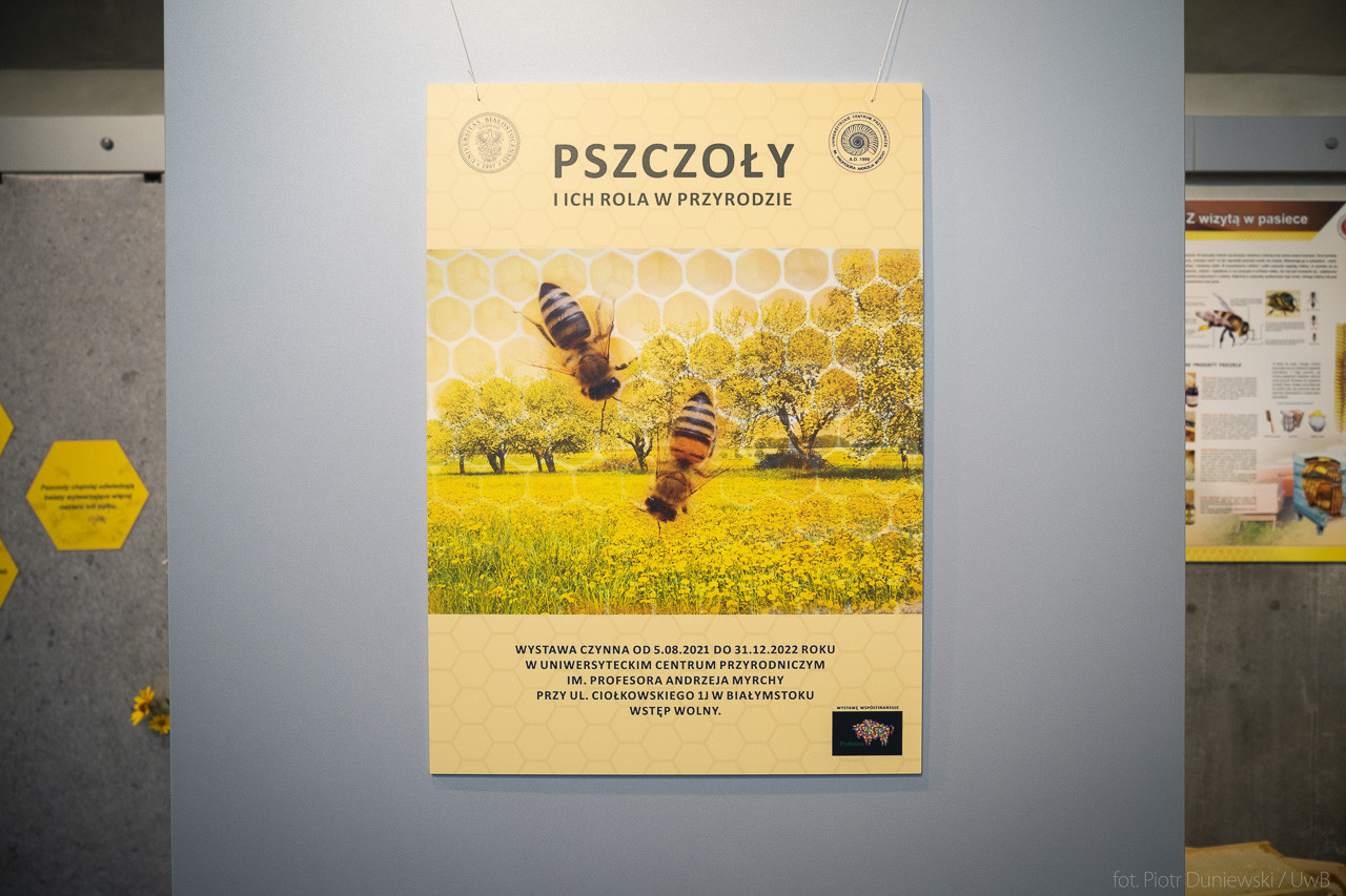 Plakat wystawy o pszczołach