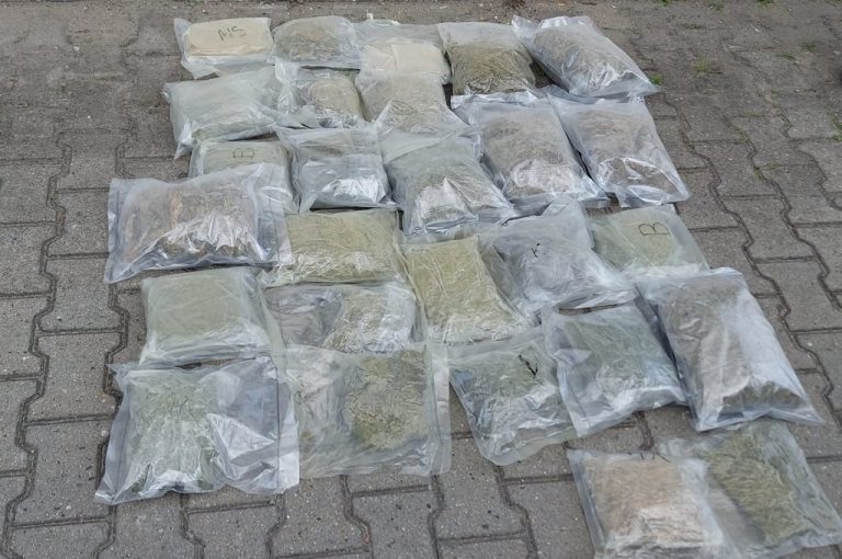 27 worków z zielonym w środku suszem - marihuaną