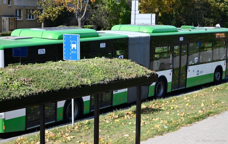 Czarna wiata przystankowa obsadzona zielenią