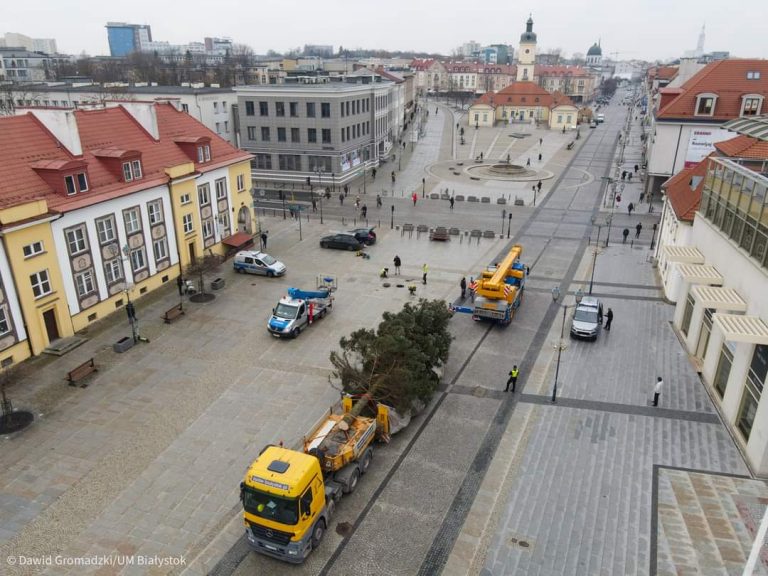 Centrum miasta, na naczepie tira leży duże drzewo