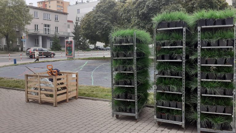 Rośliny w doniczkach na półkach metalowych stojaków