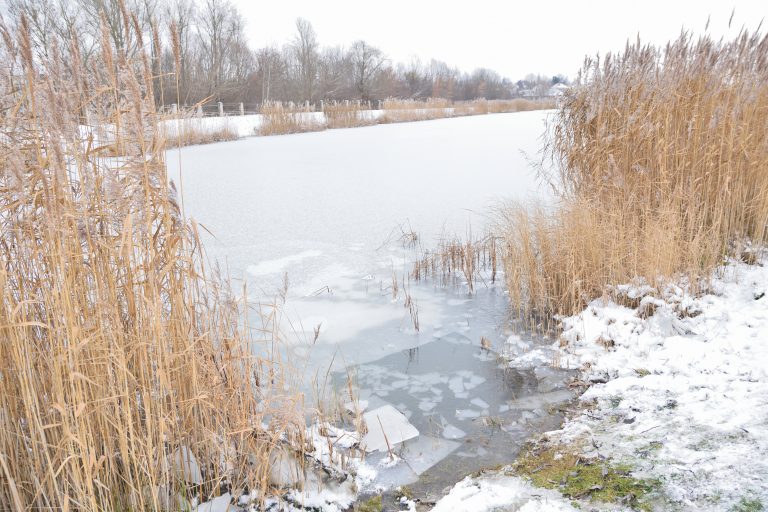 Staw kominowe bajoro pokryte lodem