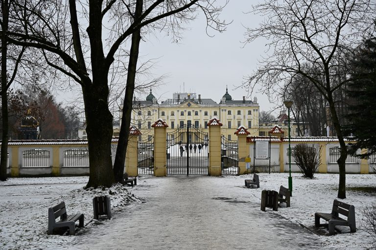 Parkowa alejka, która prowadzi do bramy pałacowego ogrodu. Za ogrodzeniem widać Pałac Branickich