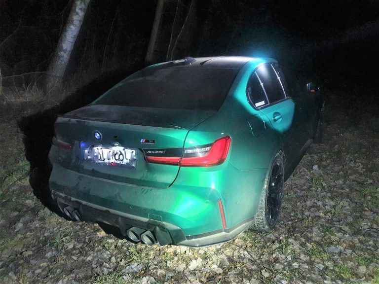 zielone luksusowe bmw w lesie