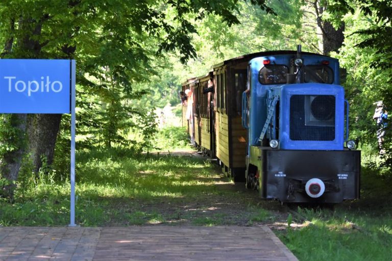 Lokomotywa, kolejka wąskotorowa jedzie przez las