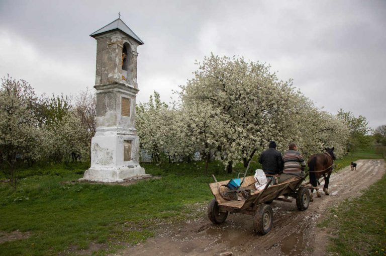 Wiejską drogą jedzie fura