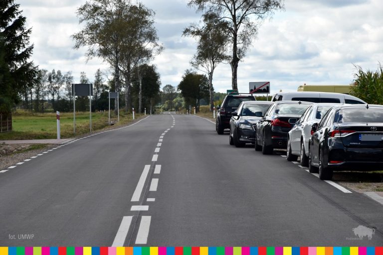 Droga wojewódzka, na poboczu stoją zaparkowane samochody