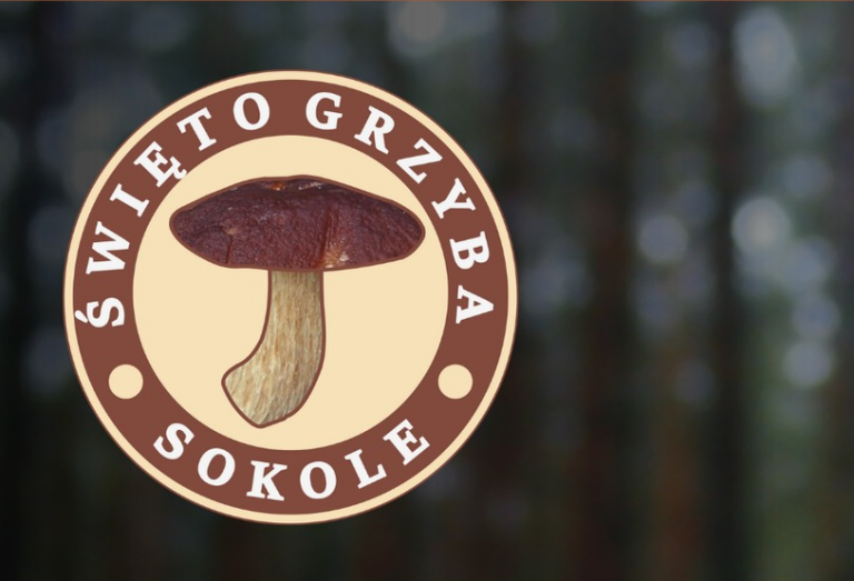 Logo imprezy, czyli rysunek grzyba w kole, dookoła napis Święto grzyba w Sokolu