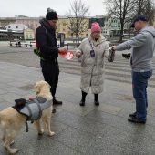 Wolontariusze podczas kwesty