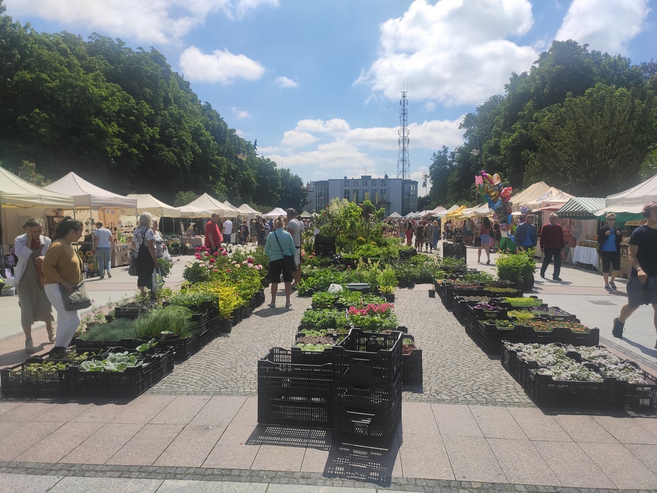 Stosika z kwiatami i roślinami na placu przed dużym budynkiem