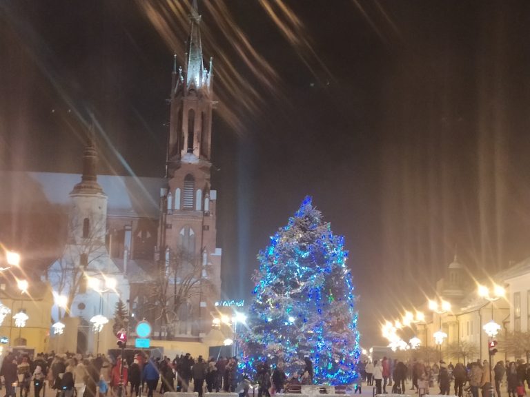 Choinka miejsca, w tle wieża kościoła.