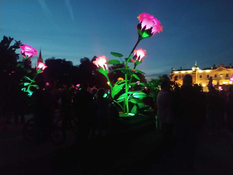 Gigantyczne podświetlone róże.