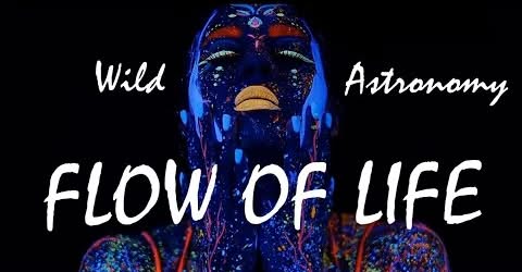 Flow Of Life - Dzika Astronomia