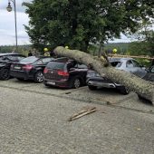 Zawalony pień drzewa leży na zaparkowanych samochodach w Supraślu, w tle ludzie i taśma zabezpieczająca teren.