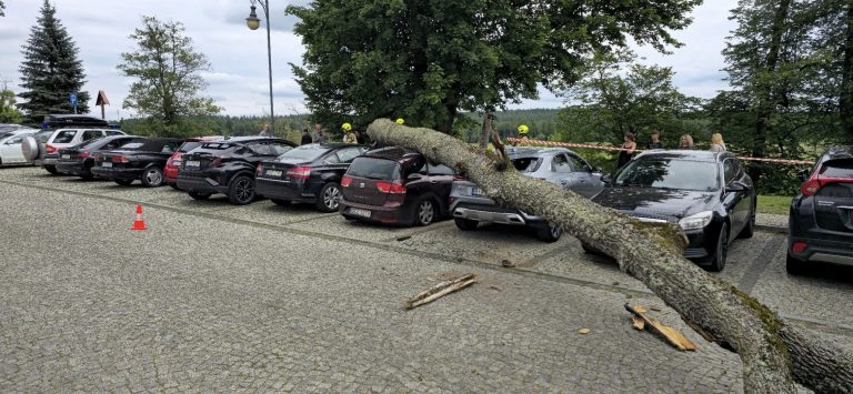 Zawalony pień drzewa leży na zaparkowanych samochodach w Supraślu, w tle ludzie i taśma zabezpieczająca teren.