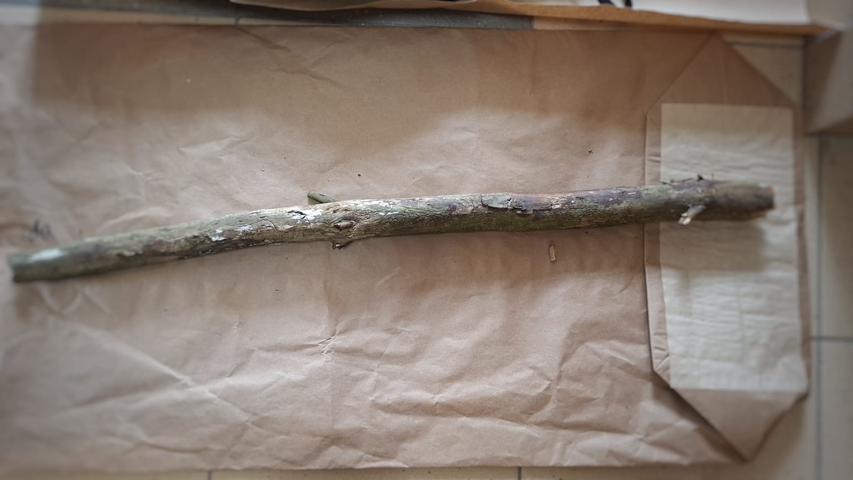 Zabezpieczony drewniany kij, użyty przez zatrzymanego.