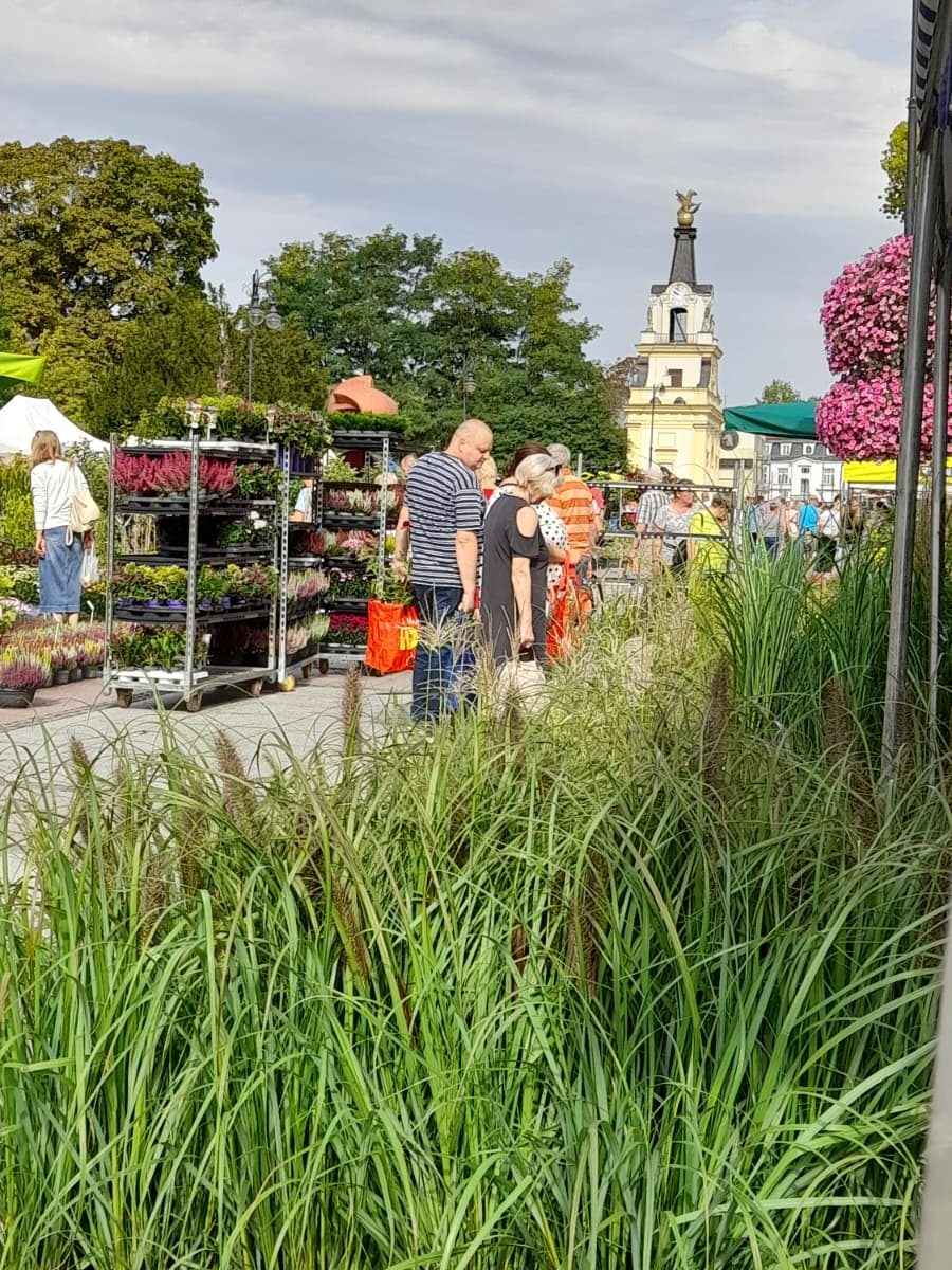 ludzie ogladają kwiaty podczas kresowych ogrodów