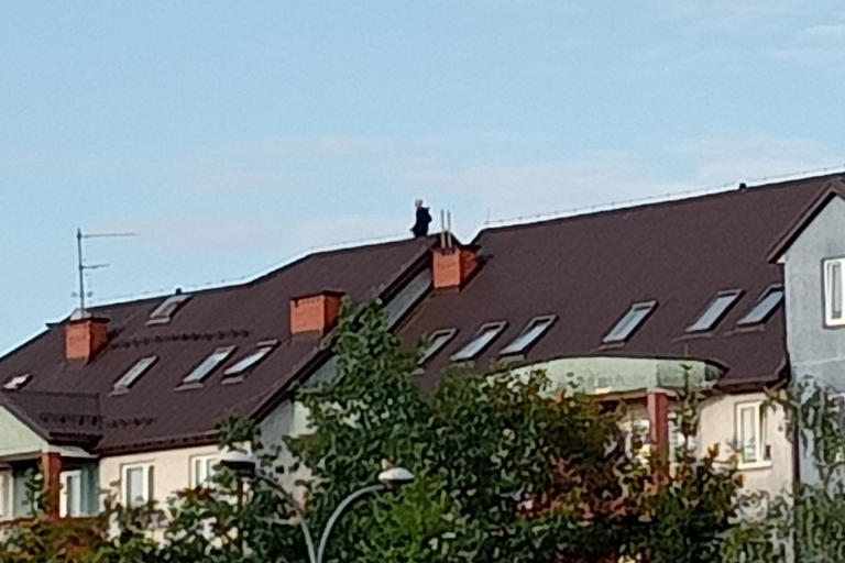 mezczyzna na dachu
