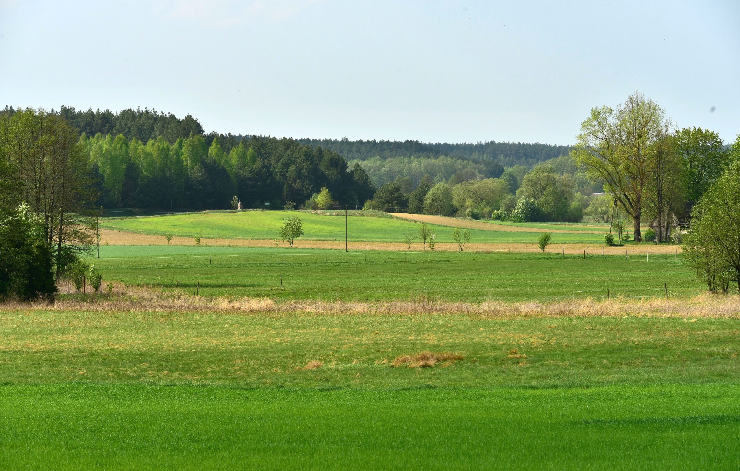 Obszar Chronionego Krajobrazu Wzgórza Sokólskie. Widok z okolic wsi Białogorce w kierunku północnym