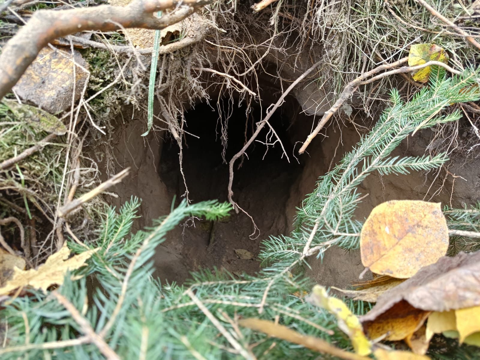 Tunel pod granicą z białorusią.