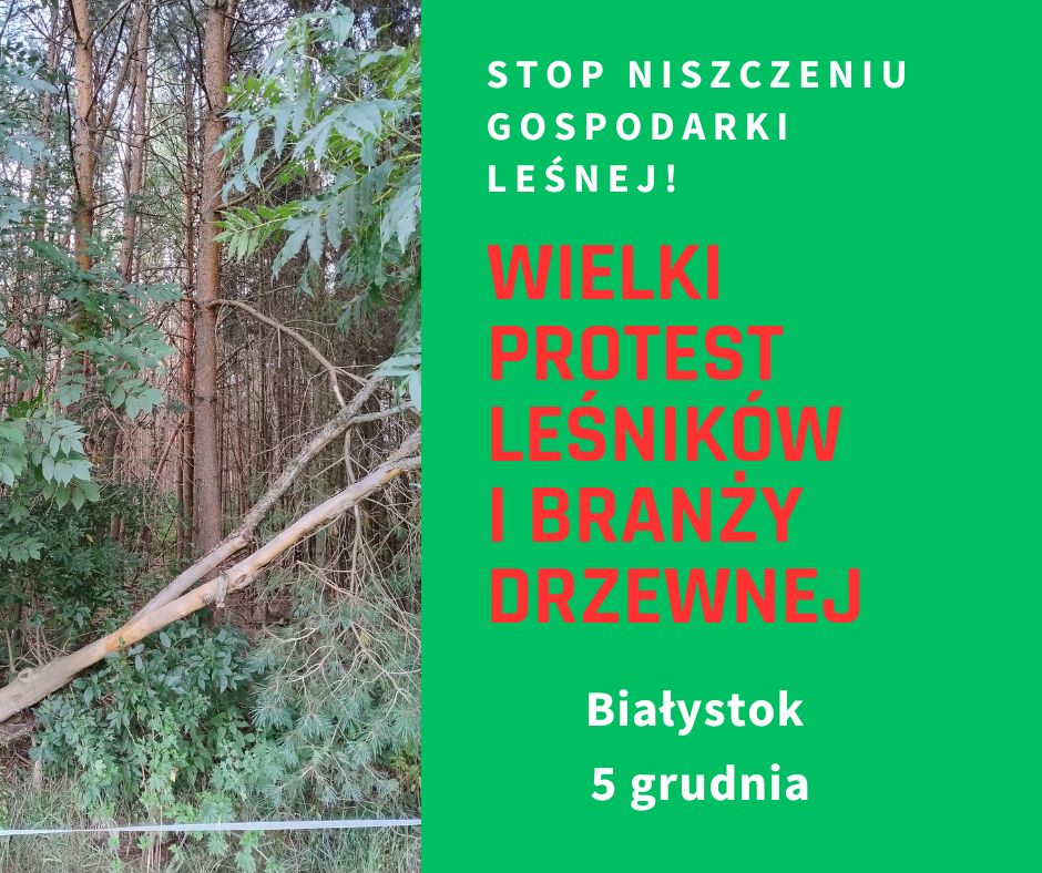 Grafika informacyjna dotycząca protestu leśników i branży drzewnej. Po lewej stronie widać fragment lasu z powalonym drzewem, po prawej zielone tło z czerwonym i białym tekstem: „Stop niszczeniu gospodarki leśnej! Wielki protest leśników i branży drzewnej. Białystok, 5 grudnia”.