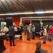 Festiwal umiejetnosci