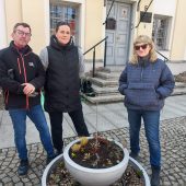 Donice badawcze rynek kościuszki