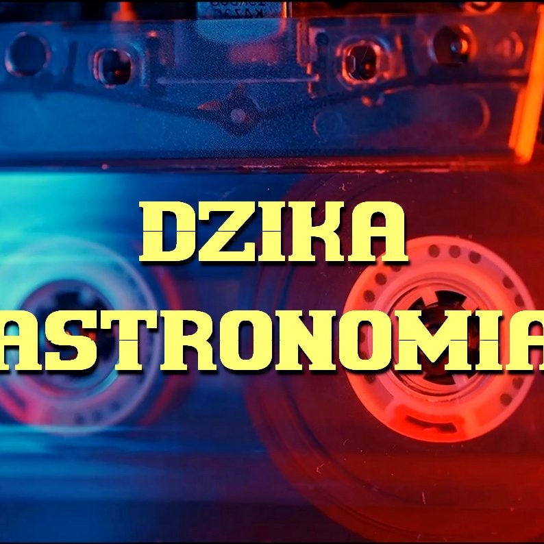 Dzika Astronomia - Magnetofon