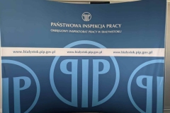 Państwowa Inspekcja Pracy, fot. Hanna Kość