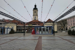 Białostocki Jarmark Świąteczny, fot. Hanna Kość