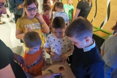 Zdjęcie 5 z 7