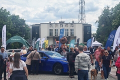 Zdjęcie 10 z 14