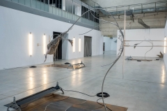 Galeria Arsenał, Kukania, fot. Jerzy Doroszkiewicz